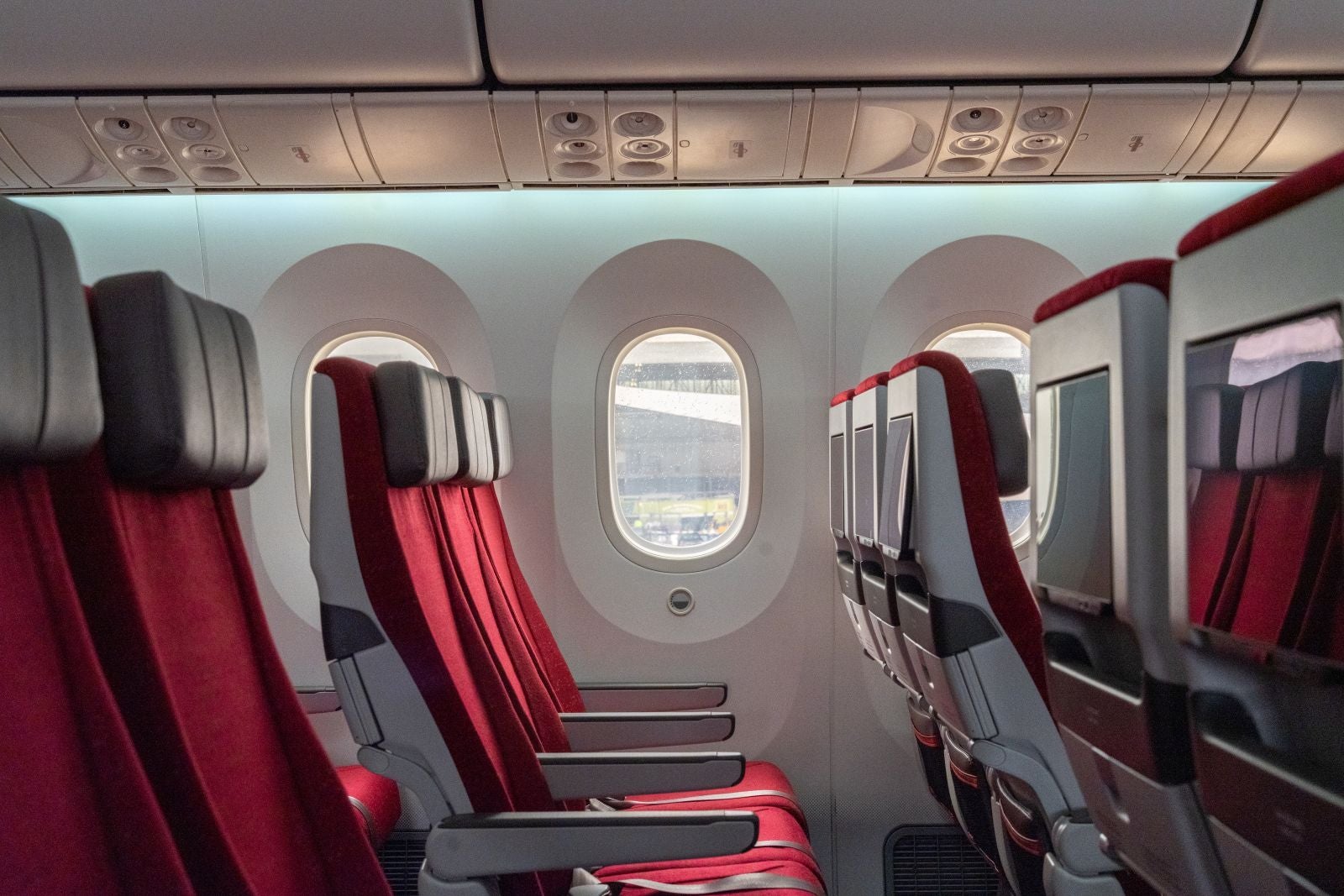 The Economy cabin offers 205 seats on our retrofitted B787 