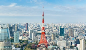 narita-sakura-no-yama
