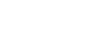 VISA Logo