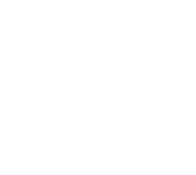 fi-money logo