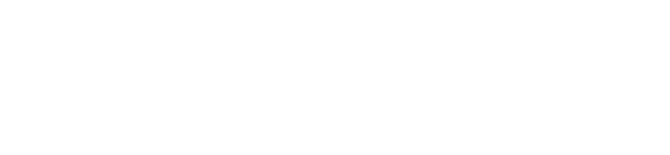 logo_img