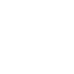 icon-2