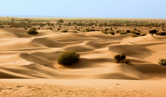 Sand Dunes