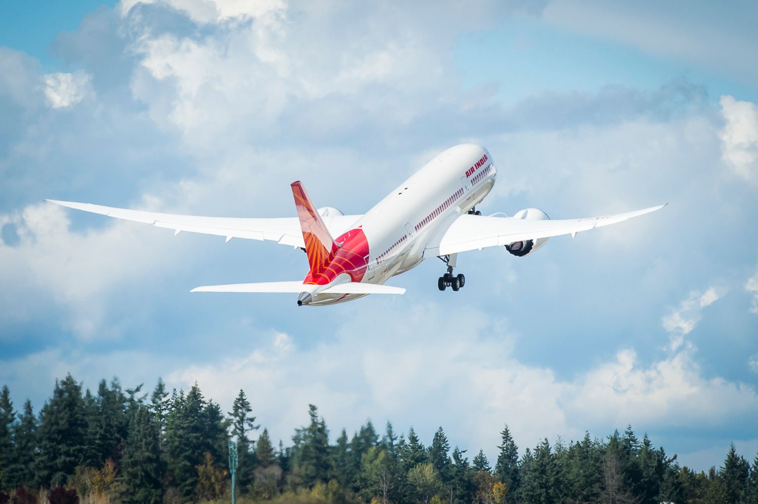Air India Boeing 787 Dreamliner