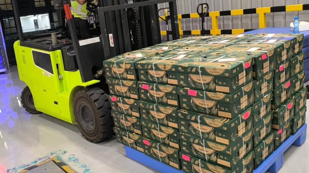 From Konkan orchards to Arabian souks: Air India cargo transports first international export shipment from Navi Mumbai aboard Air India Express