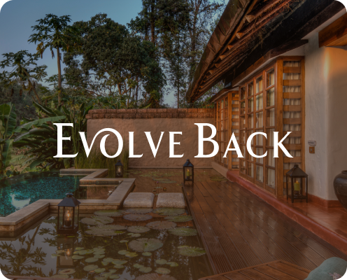 evolveblack