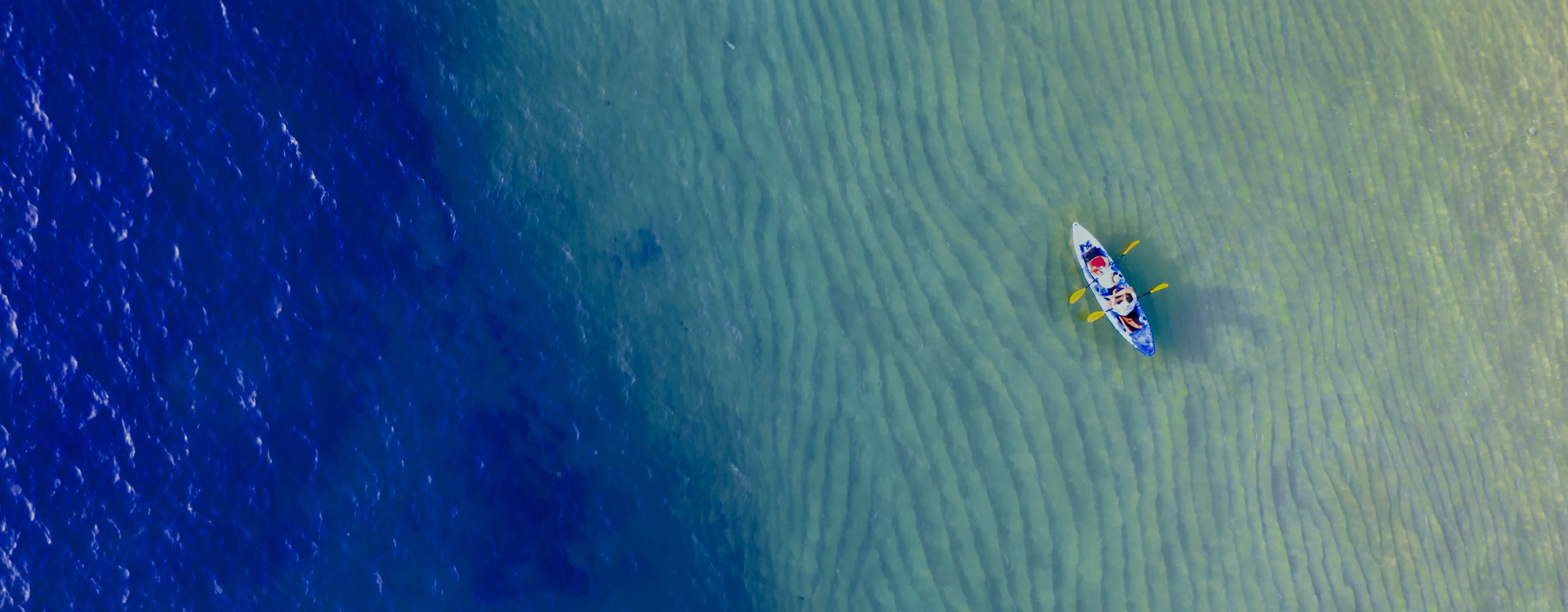 special offer for logged in members