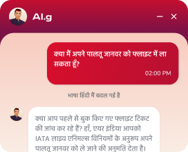 Chatbot Hindi Language