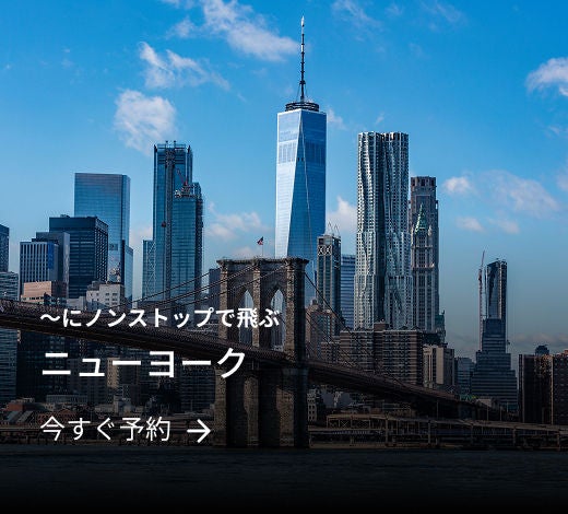 ニューヨークシティ